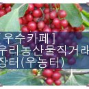 토지 & 캠핑장 창업 컨설팅 이미지