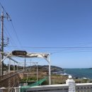 제주댕댕스푼 이미지