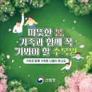 도안대한민국공인중개사사무소 네이버블로그