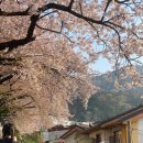 GS25주례파크점 이미지