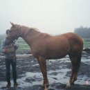 대천목장 이미지