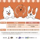생견진천 펫 편의점 이미지
