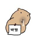 보미샵