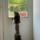 미용집사 이미지