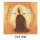 대화이비인후과가정의학과의원 이미지