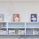 하이멍 애견미용 이미지