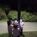 고고파티 네이버블로그