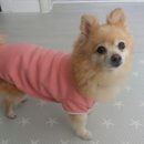 봄이꽃피다 이미지