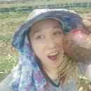 딸기엄마양파아빠 농수축산신문
