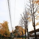 솔바람조경
