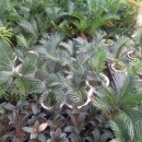 김경애농장 이미지