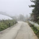 물안개피는 강가펜션 이미지