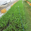 준서네 농장 이미지