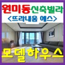 뜨라내움 네이버블로그