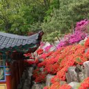 (주)금강사 이미지