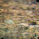 원주시청소년수련관 화장실 이미지