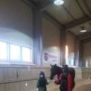 설성초교 이미지