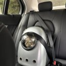 냥냥미장원 이미지