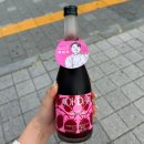 담주할머니 | 윤남노 셰프가 출시한 복분자 <복담주> 내돈내산 후기 (5000원 할인 방법)