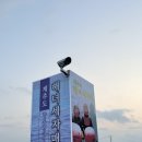 세자매목장 이미지