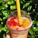 컴포즈 컵빙수 후기, 망고자몽요거빙 vs 연유수박팥빙 솔직 비교