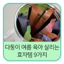 주식회사 바디셋 | 폭염에 다둥이 키우는 집 필수템 9가지 (외출템 + 침구템 총정리) 🧊