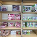 하이베베 이미지