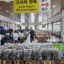 송당승마장 이미지