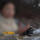 말레이시아교 이미지