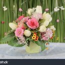 이민경 행정사 사무소 이미지