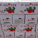 2011-주002 이미지