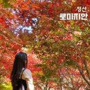 강원도 정선 단풍 여행, 로미지안 가든 입장료 할인 가볼만한곳