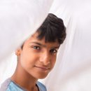 북극곰국어논술학원 이미지