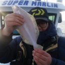 선상슈퍼 이미지