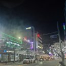 씨유강릉교동택지점 | 강릉 교동카페 벚꽃명소 투썸플레이스 강릉교동택지점 후기 (주차, 분위기, 가격)