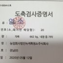 신선MEAT