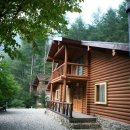 통고산자연휴양림 이미지