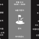 알바트로스여행사