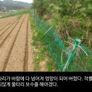 김정태 농장 이미지