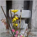 분당요한성당 이미지