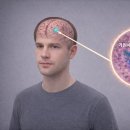 TL 동물병원 이미지