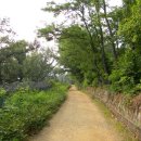 광주이씨광릉부원군파묘역 이미지