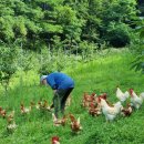 소라농장 이미지