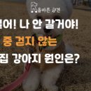 올바른참견 이미지