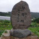 금자메기매운탕 이미지