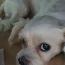 찜통 이미지