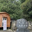 조차 스테이 | 도심 속 쉼표, 대전 학림사 템플스테이 체험기