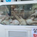 강태웅생생아구
