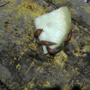 다우리농장 이미지