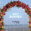 서해랑 케이블카 크리스탈캐빈 후기｜제부도 가는 방법🚠🌊